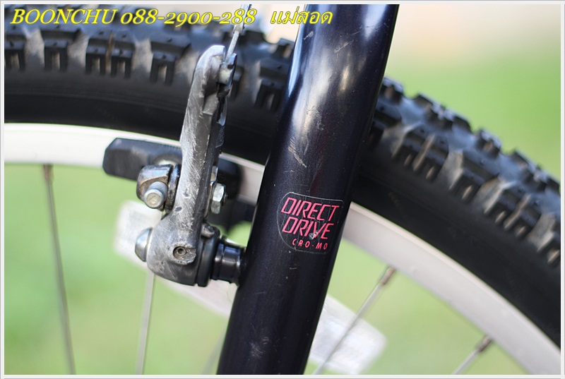 SPECIALIZED_10.JPG