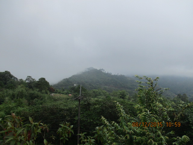 IMG_0557.JPG
