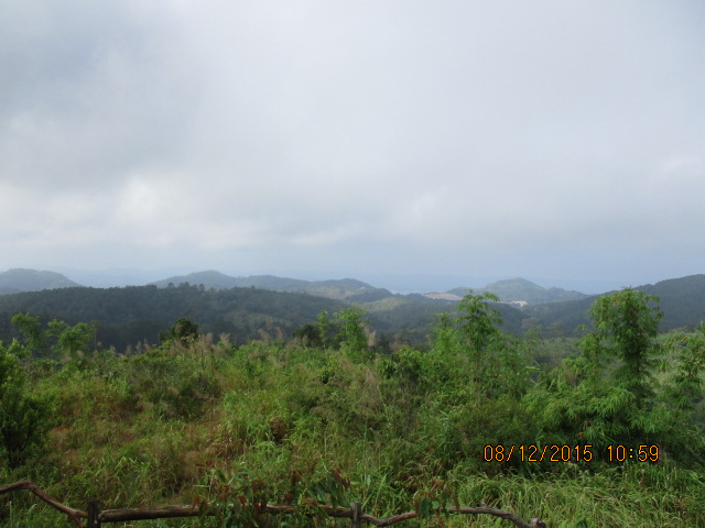 IMG_0558.JPG