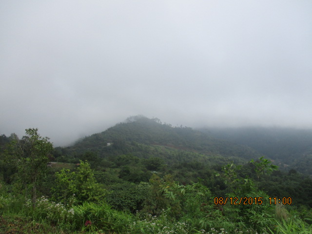IMG_0559.JPG