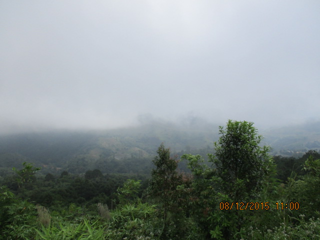 IMG_0560.JPG