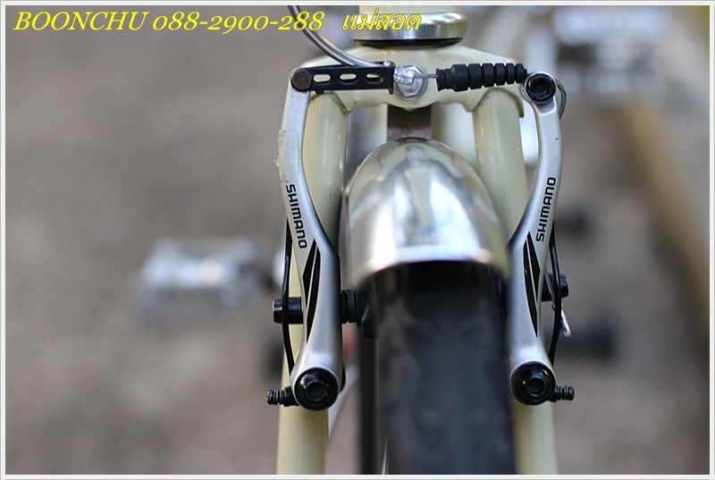 BIANCHI_23.JPG