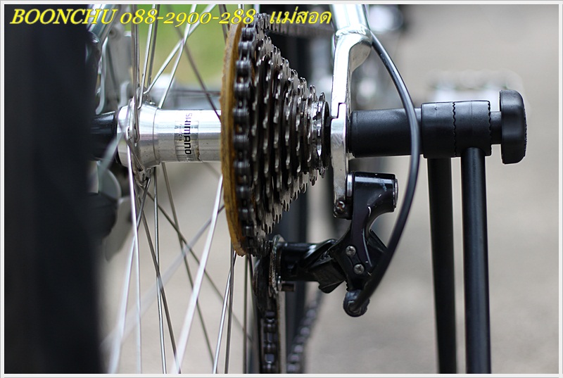 SCHWINN_29.JPG