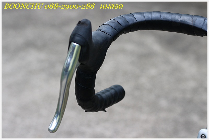 SURLY_22.JPG