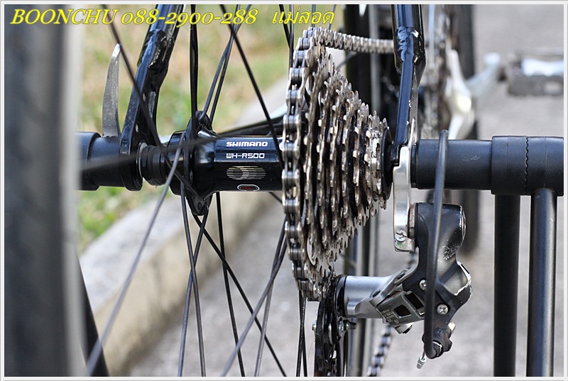 COLNAGO_24.JPG