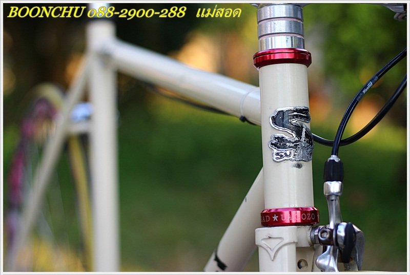 SURLY_08.JPG