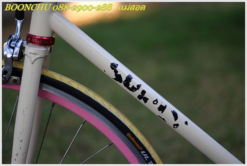 SURLY_11.JPG