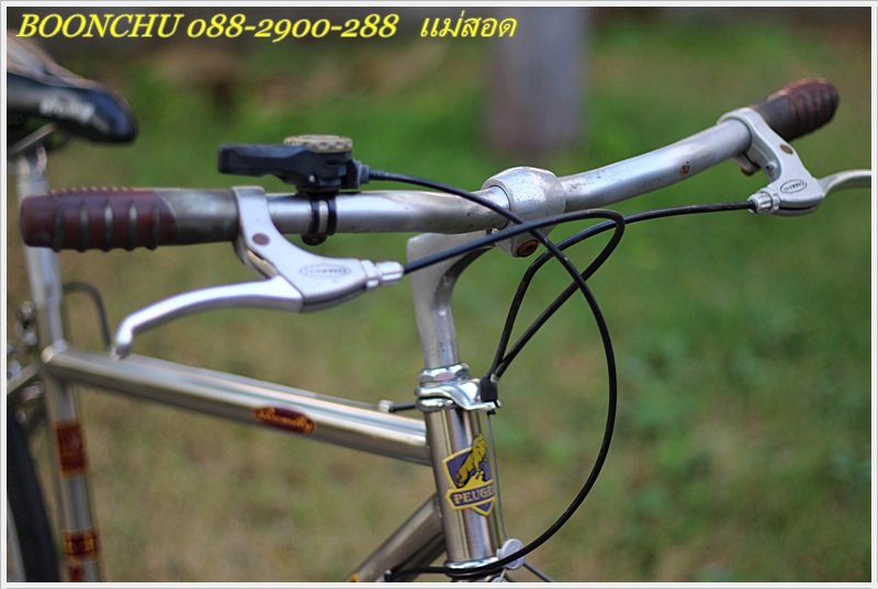 PEUGEOT_20.JPG