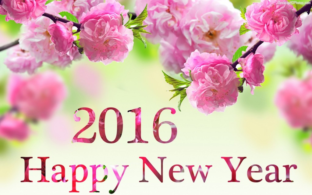 Happy New Year 2016.jpg