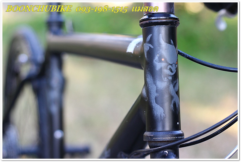 CANNONDALE_08.JPG