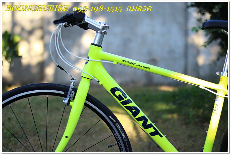 GIANT _09.JPG