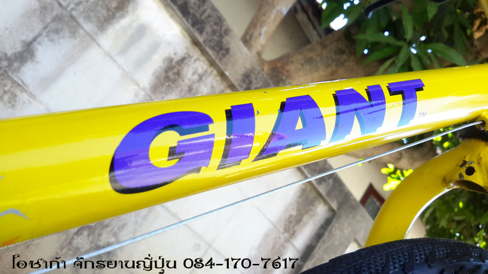giant-hardline-10.jpg
