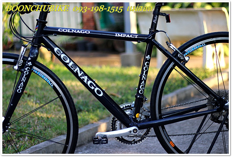 COLNAGO_10.JPG