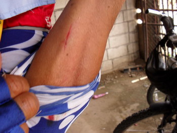 SDC10420.jpg
