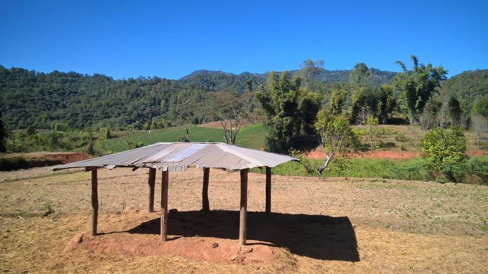 V072.jpg