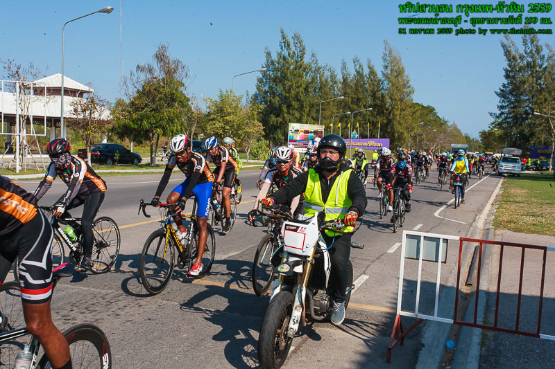 ZY0K6516.jpg