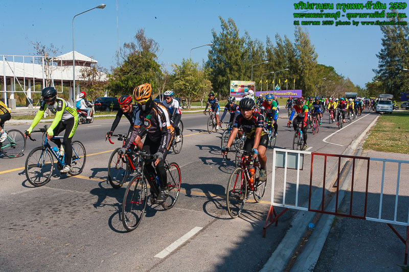 ZY0K6518.jpg