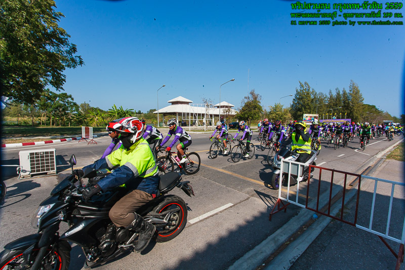 ZY0K6528.jpg