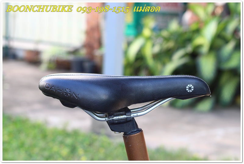 DAHON_31.JPG