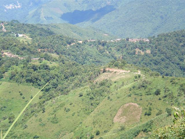P7111506.JPG
