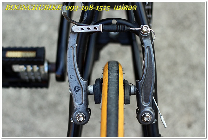 DAHON_25.JPG