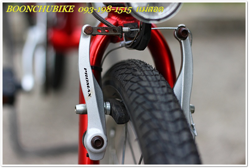 DAHON_20.JPG
