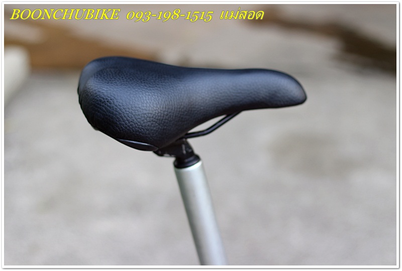 DAHON_28.JPG
