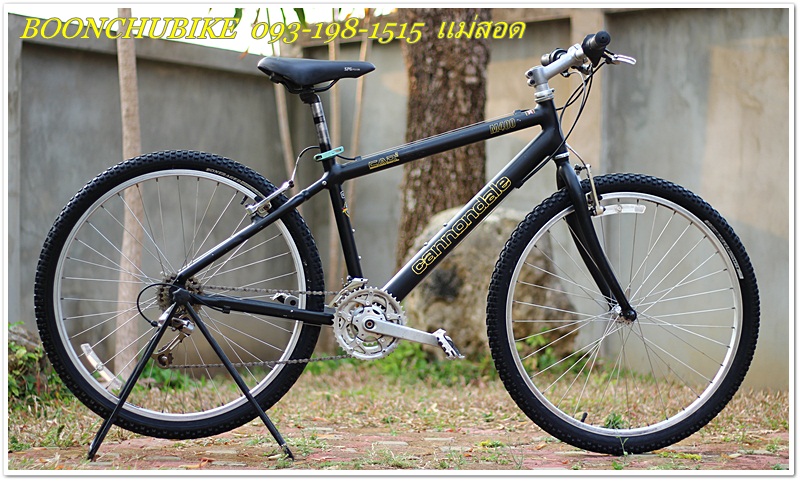 CANNONDALE_01.JPG