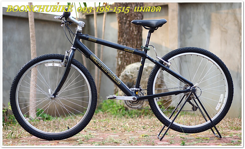CANNONDALE_02.JPG