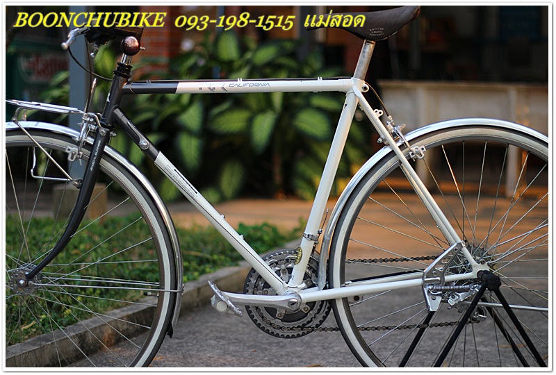 MIYATA rr_10.JPG