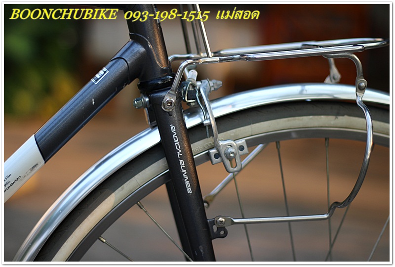MIYATA rr_18.JPG
