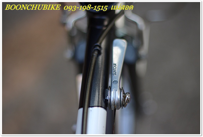 MIYATA rr_21.JPG