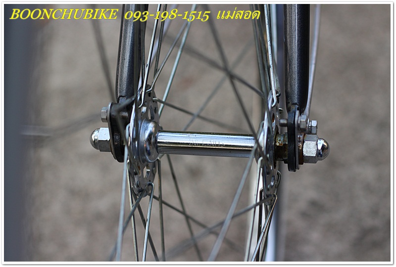 MIYATA rr_28.JPG