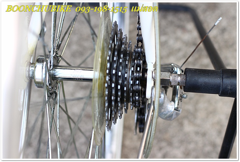 MIYATA rr_35.JPG