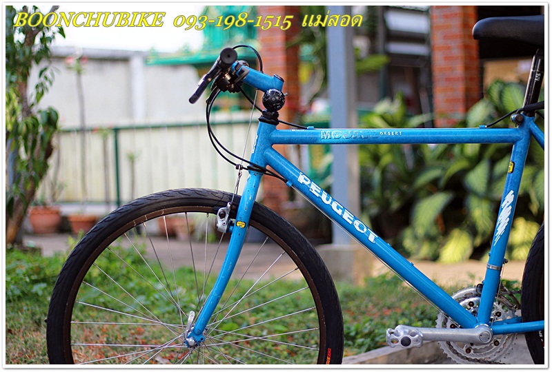 PEUGEOT_09.JPG