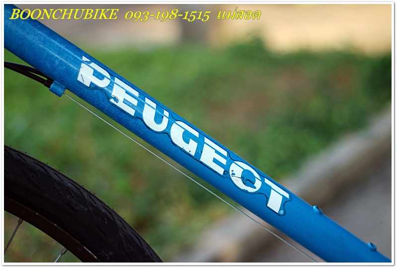 PEUGEOT_12.JPG