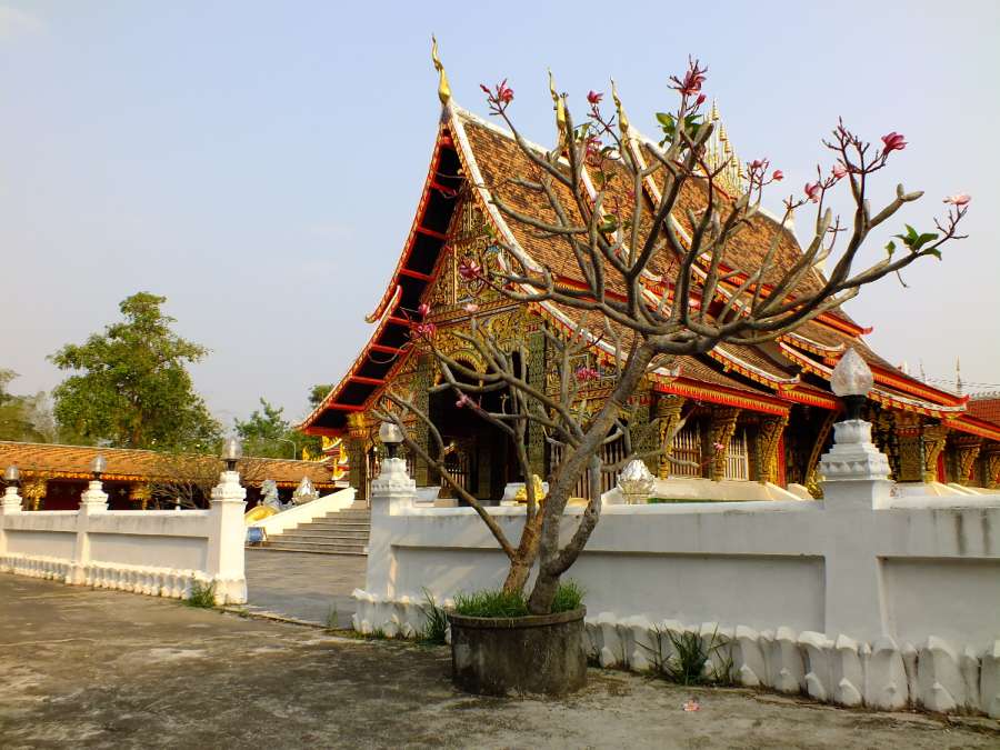 DSCF5339.JPG