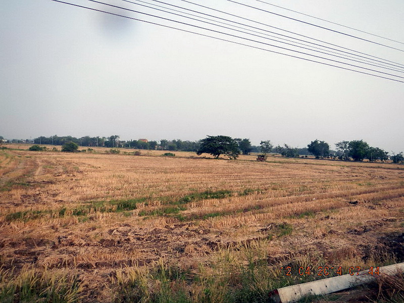 DSCN1417.jpg