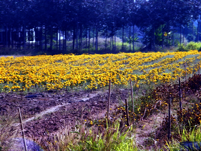 DSCF4845.jpg