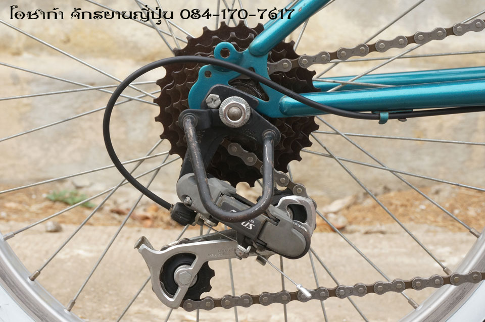 pana-sprinbok-23.jpg
