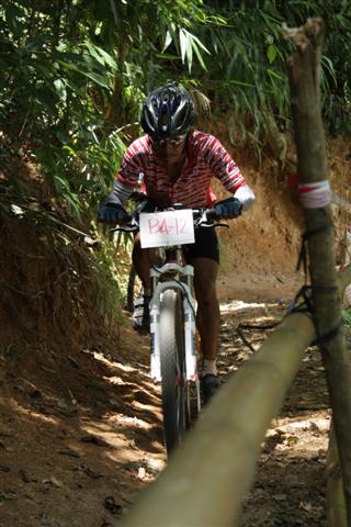 IMG_3437 (Small).JPG