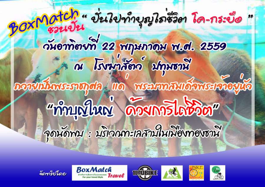 งานพี่ต้น ไถ่ชีวิตโค-กระบือ (1).jpg