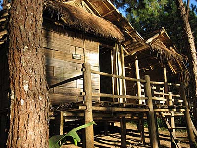 P001.jpg