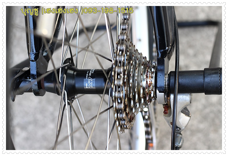 SPECIALIZED_29.JPG