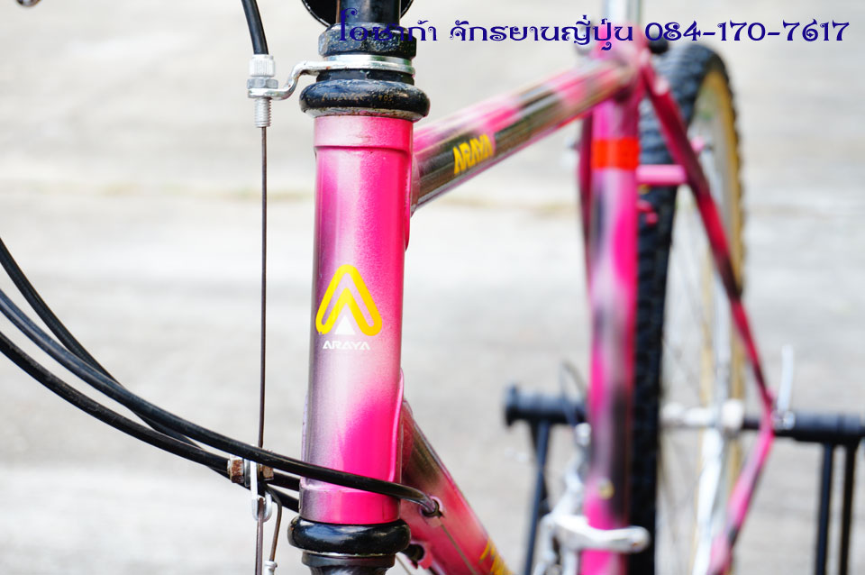 pink-araya-muddy-fox-23.jpg
