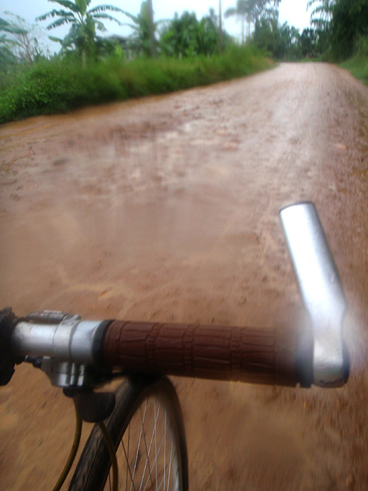 P7260551.jpg