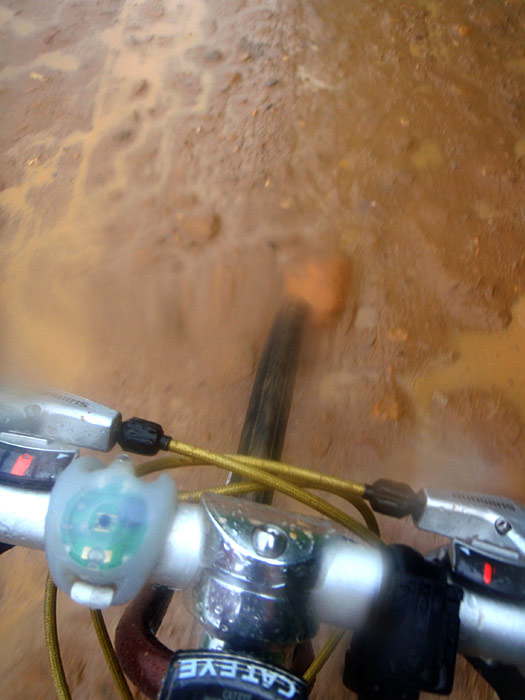 P7260550.jpg