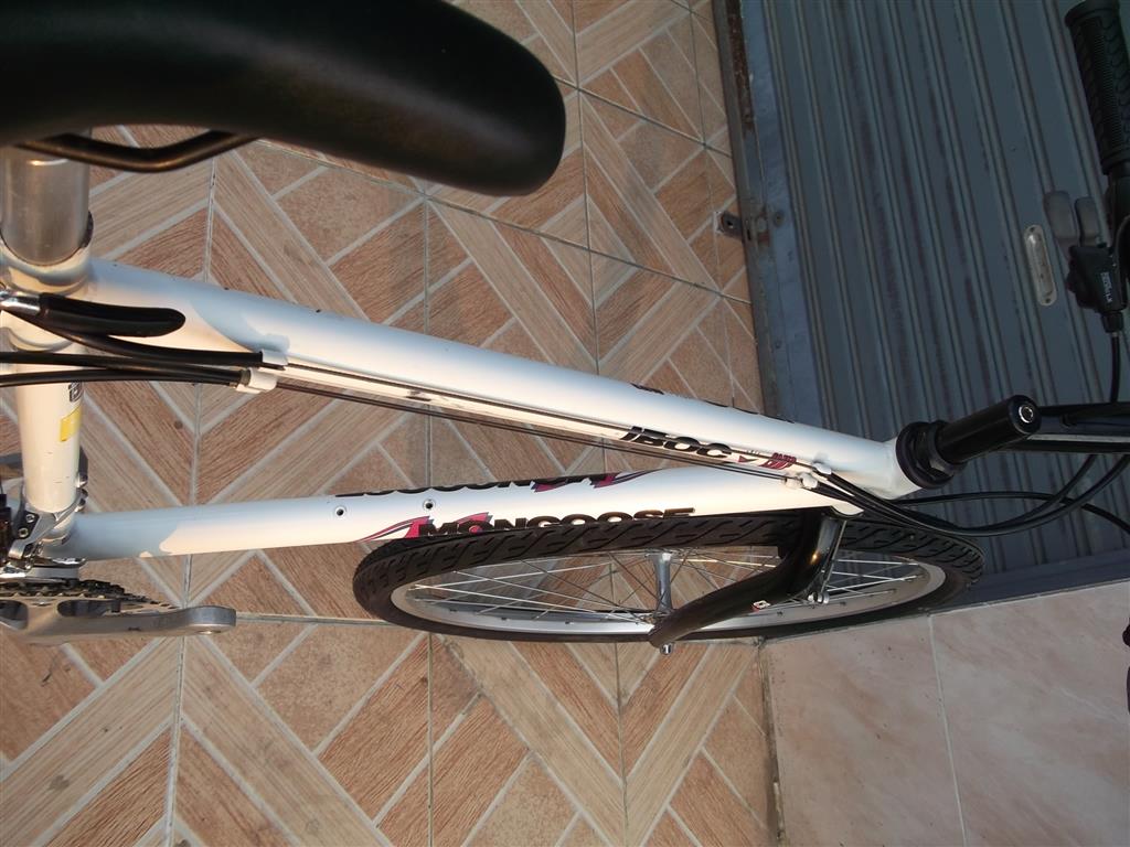 DSCF4503 (Medium).JPG