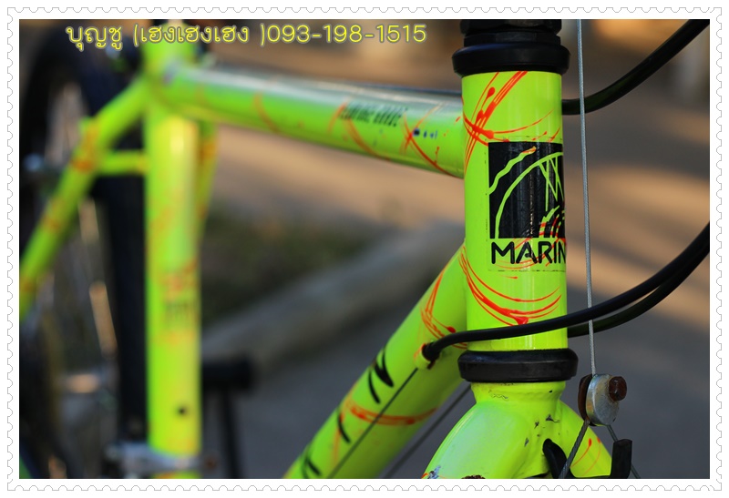 MARIN_09.JPG