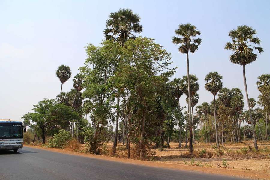 160426Cambodia016r.jpg